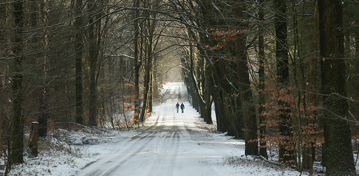 Beleef de winter met IVN Den Bosch